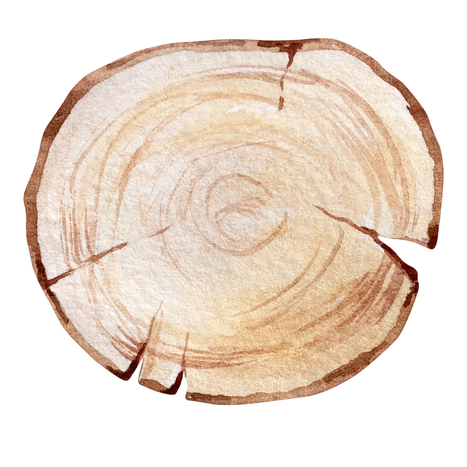 Wooden Slice