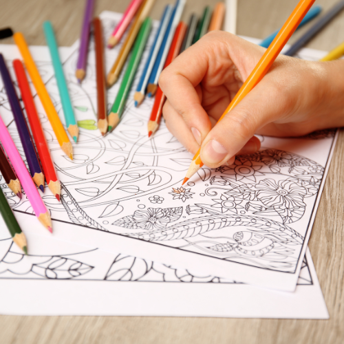 Colour Pencils