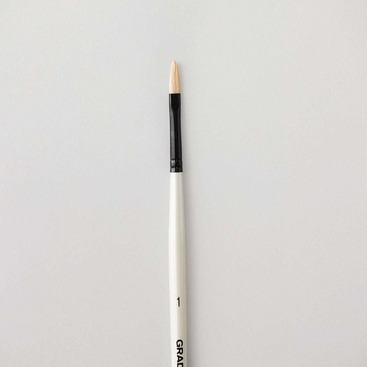 Daler Rowney Filbert Brushes Size 1 Long Handle, Oil & Acrylic Colours