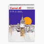 Camel PremiumSketchBook 270GSM A3 15 Sheets