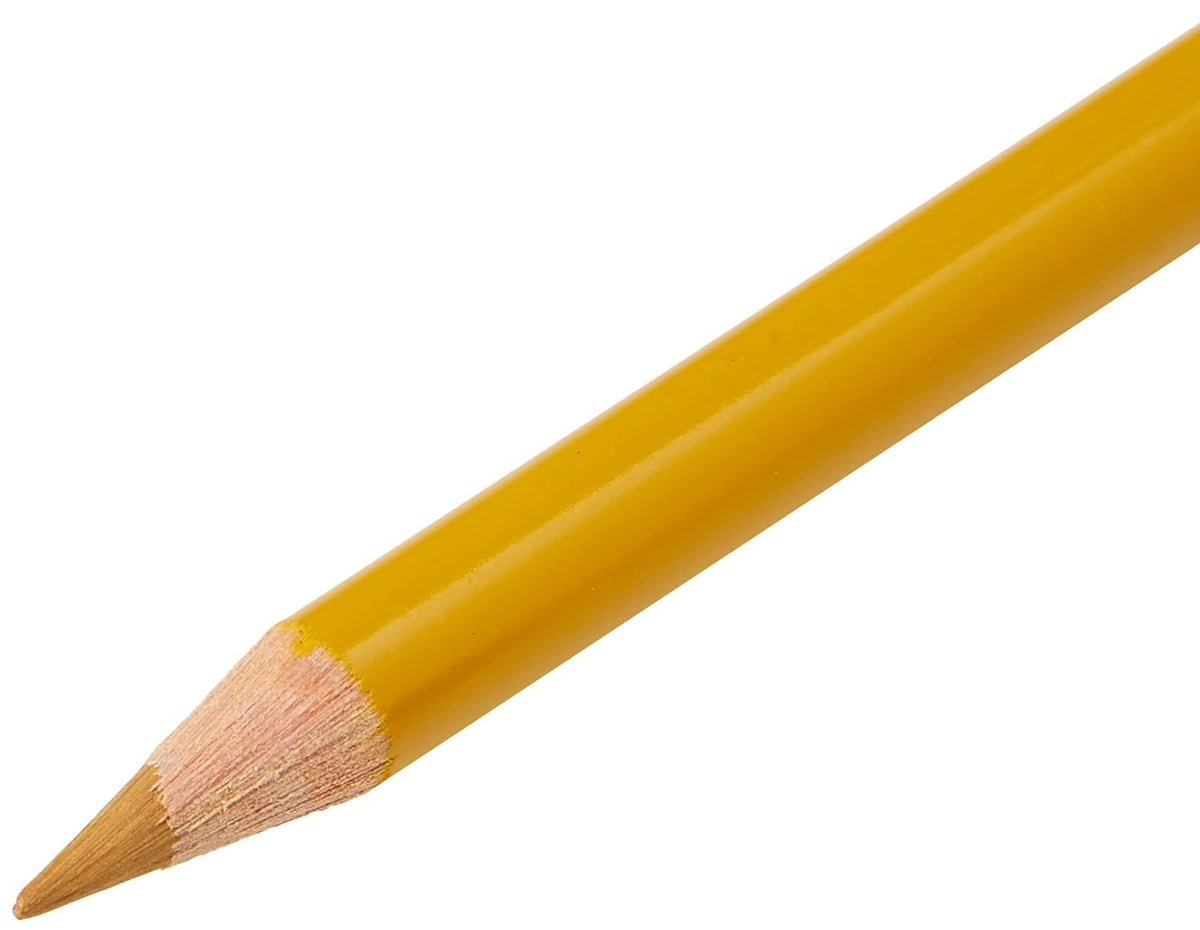 Faber Castell Polychromos Colour Pencils Light Yellow Ochre