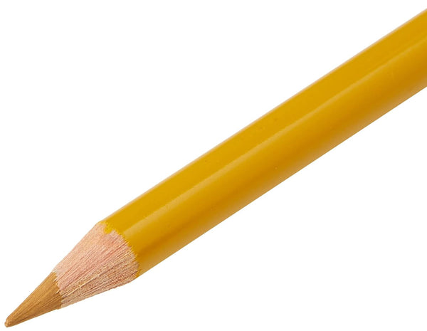 Faber Castell Polychromos Colour Pencils Light Yellow Ochre