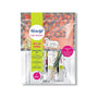 Fevicryl Painting Kits 1 no