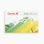 Camel Artist  Soft Pastels Set of 20 Shades