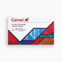 Camel Glass Colours Assorted pack of 5 shades in 20 ml with Medium and Liner, Solvent based