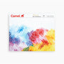 Camel Oil Pastels Colour Set Oil Pastel Set 50 Shades
