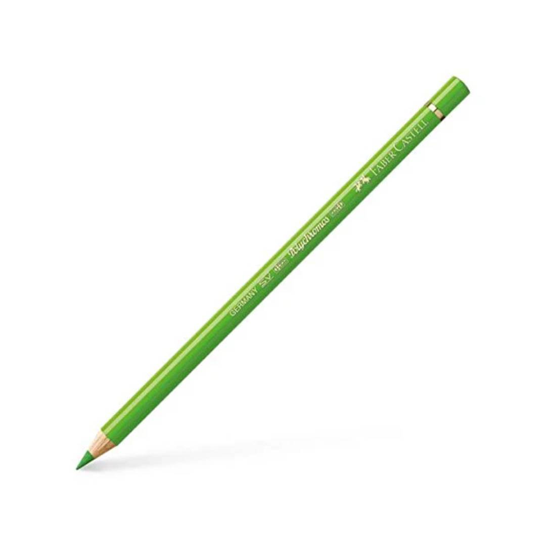 Faber Castell Polychromos Colour Pencils Grass Green
