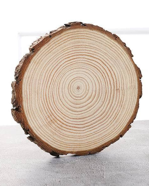 Wooden Slice Round 14-15x1cm