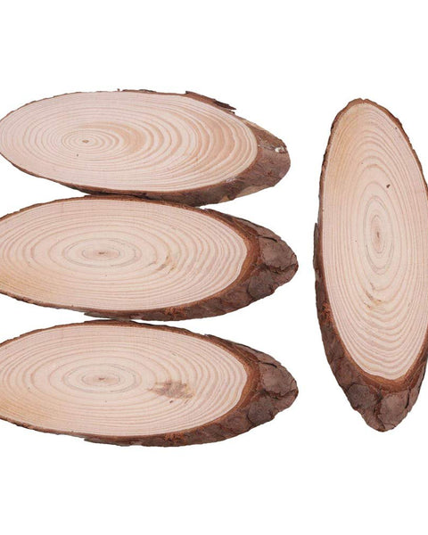 Wooden Slice Oval 6-8 inch